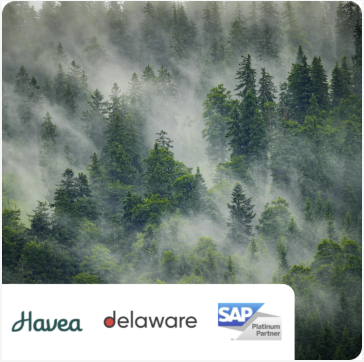 Afterwork ERP Cloud & IA – Témoignage Havea